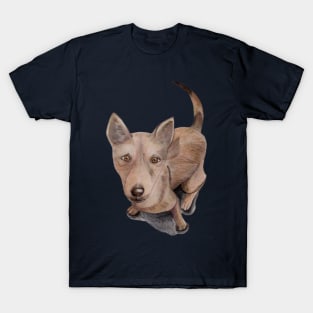 Koda's puppy dog eyes T-Shirt